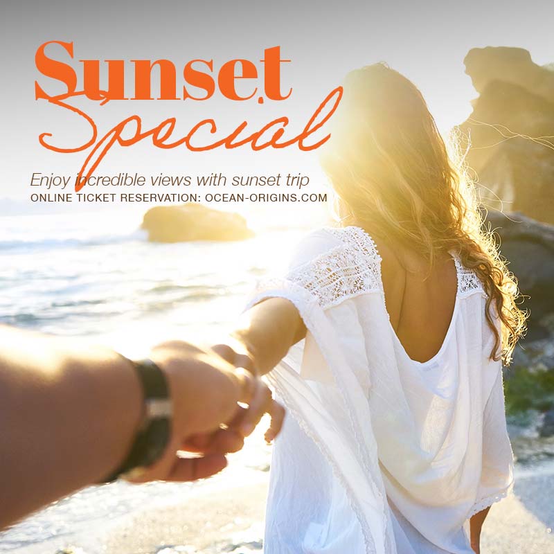 Promotion! SUNSET Special